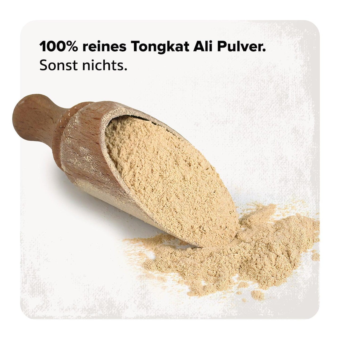 Unser Tongkat Ali Extrakt besteht zu 100% als Tongkat Ali und enthält keinerlei Zusatzstoffe